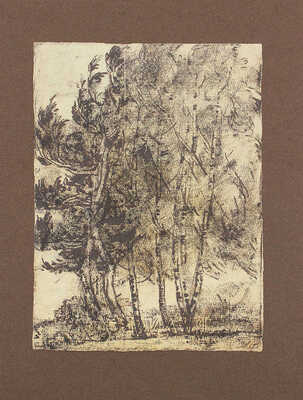 Фейнберг Леонид Евгеньевич. Таруса  